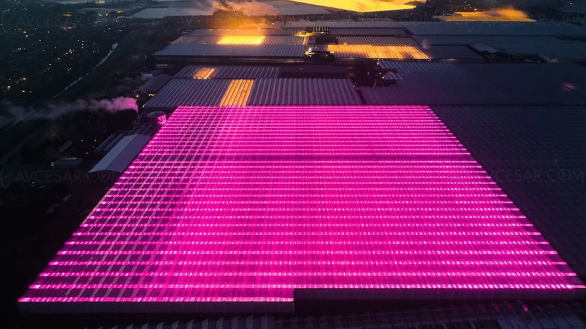 serre holand plastic sea